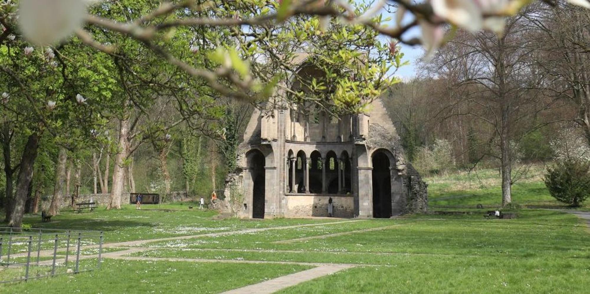 Kloster_Heisterbach1