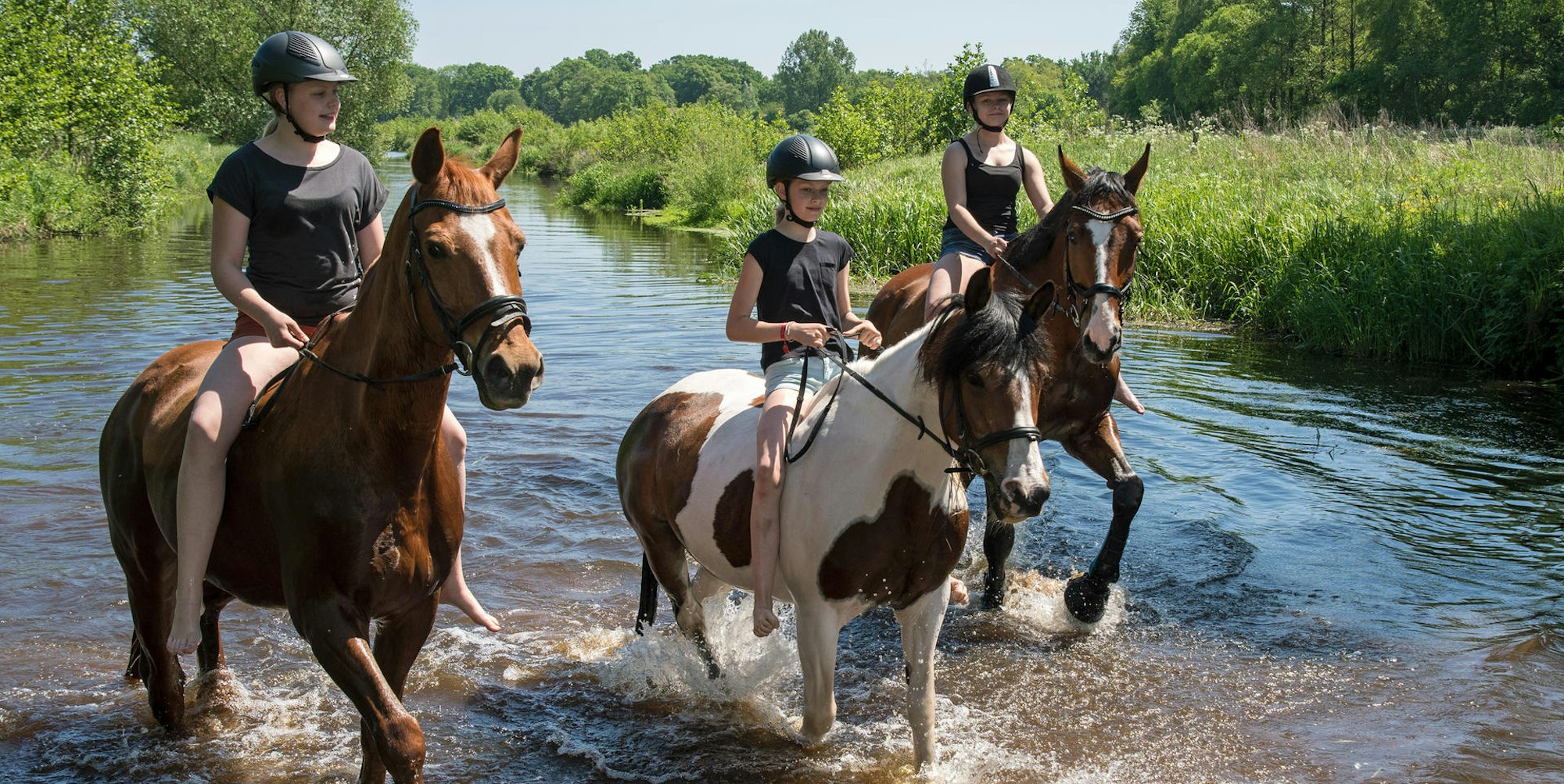 Reiterinnen Symbolbild 190422