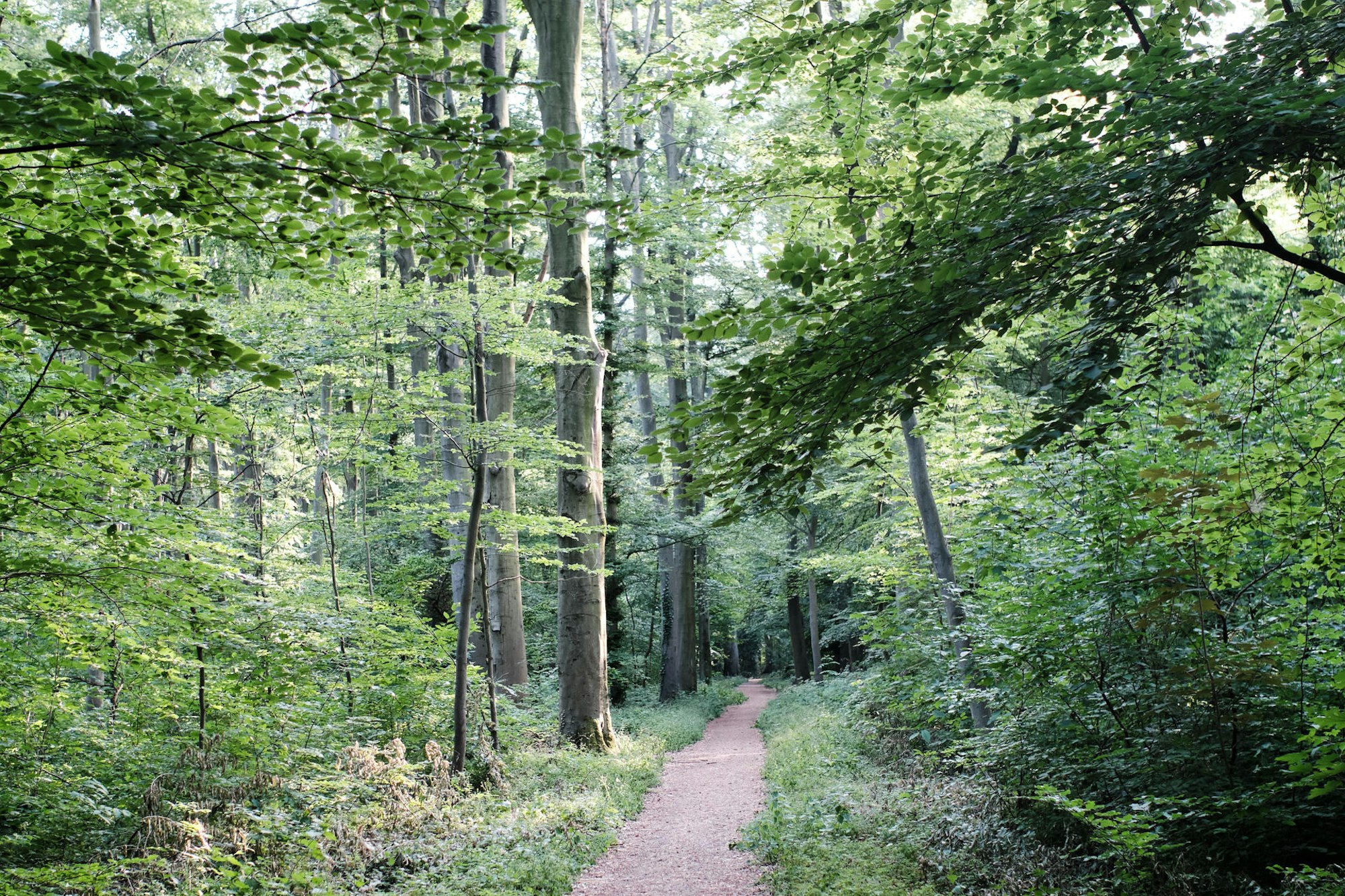 20200603-MAX-geocaching-35 1