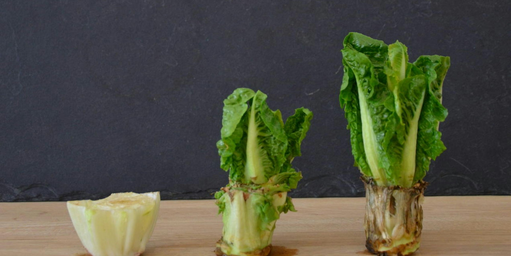 Raupach_Lill_Regrow-your-veggies_9783818605346_Plantura-GmbH_Bild-Nr011