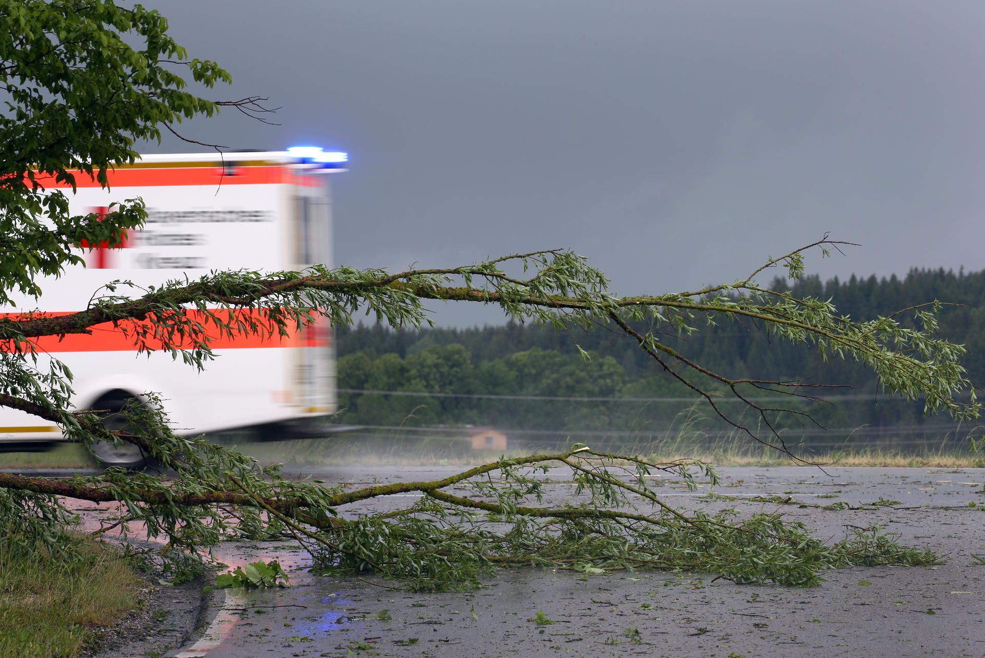 Rettungswagen Baum Symbolbild