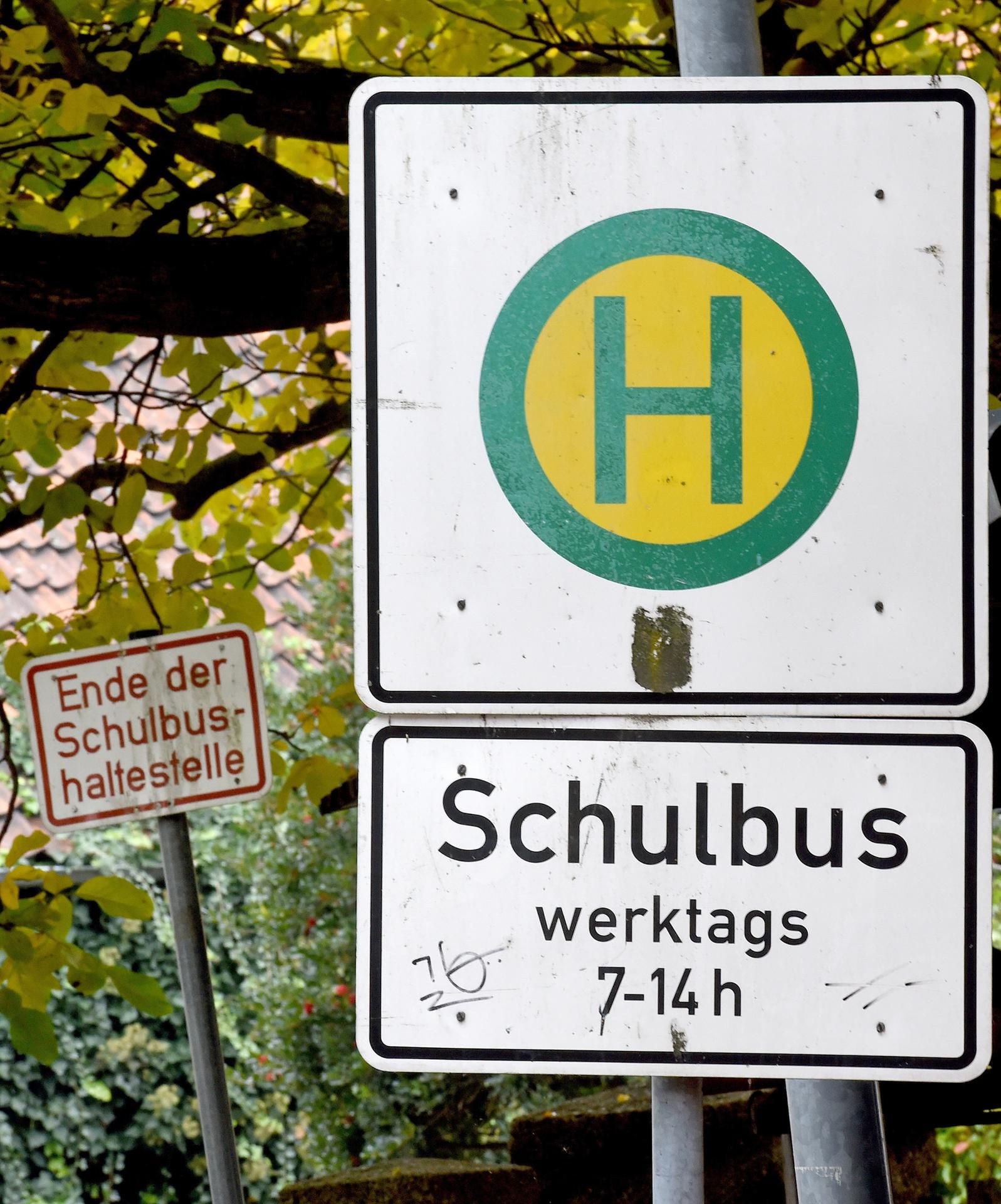 Schulbusse_Symbolbild