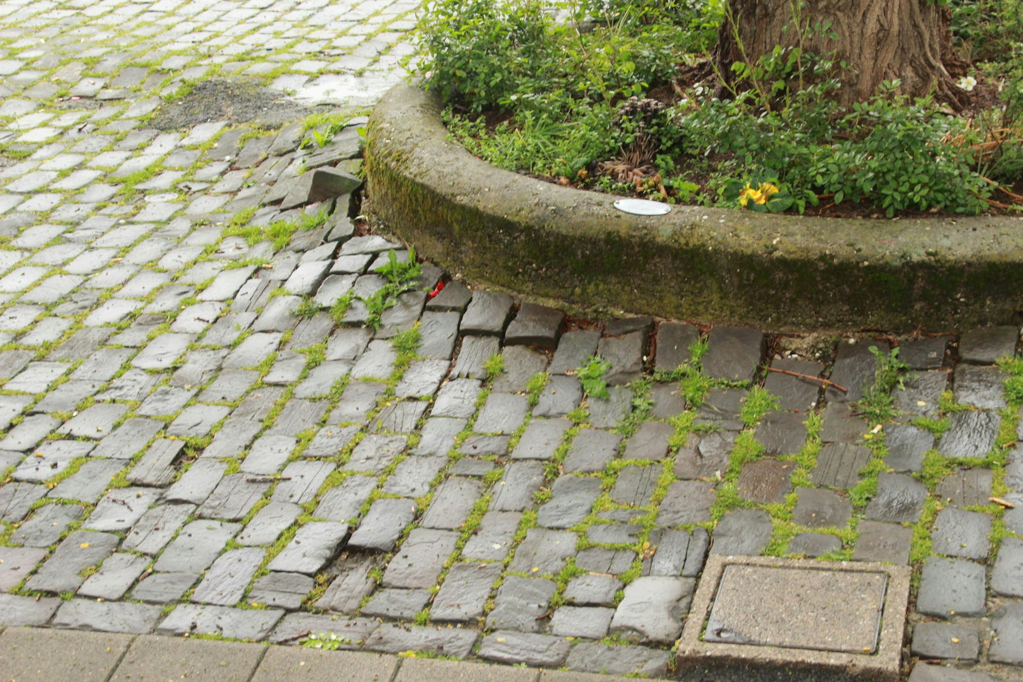 Eitorf-Markt Stolperfalle