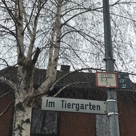 Bergheim_Fliesteden_Glasfaser