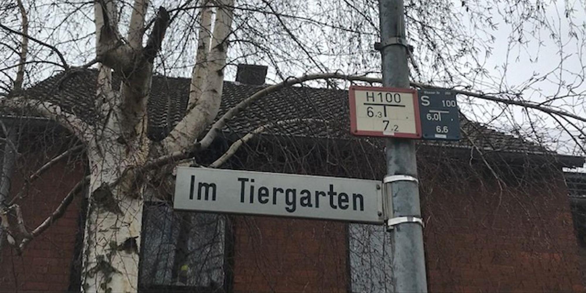 Bergheim_Fliesteden_Glasfaser