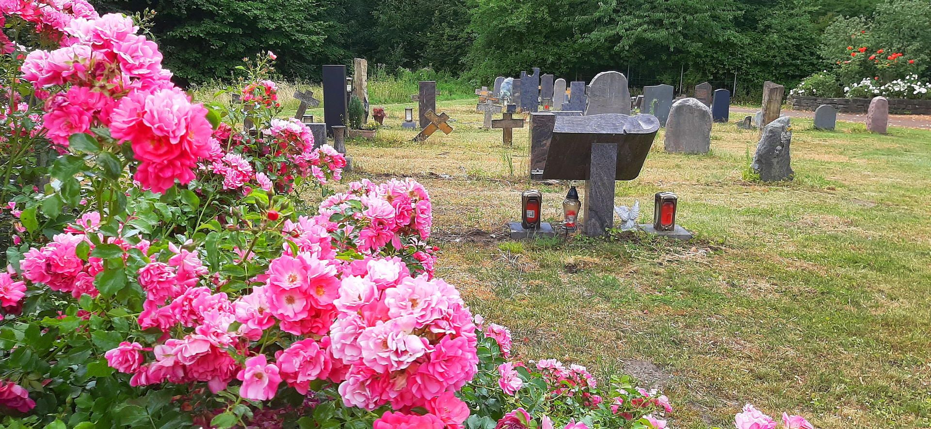 GL_Gronau_Friedhof_20190702_133608