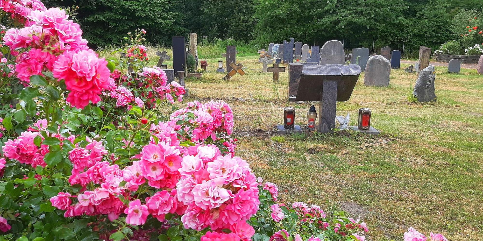 GL_Gronau_Friedhof_20190702_133608