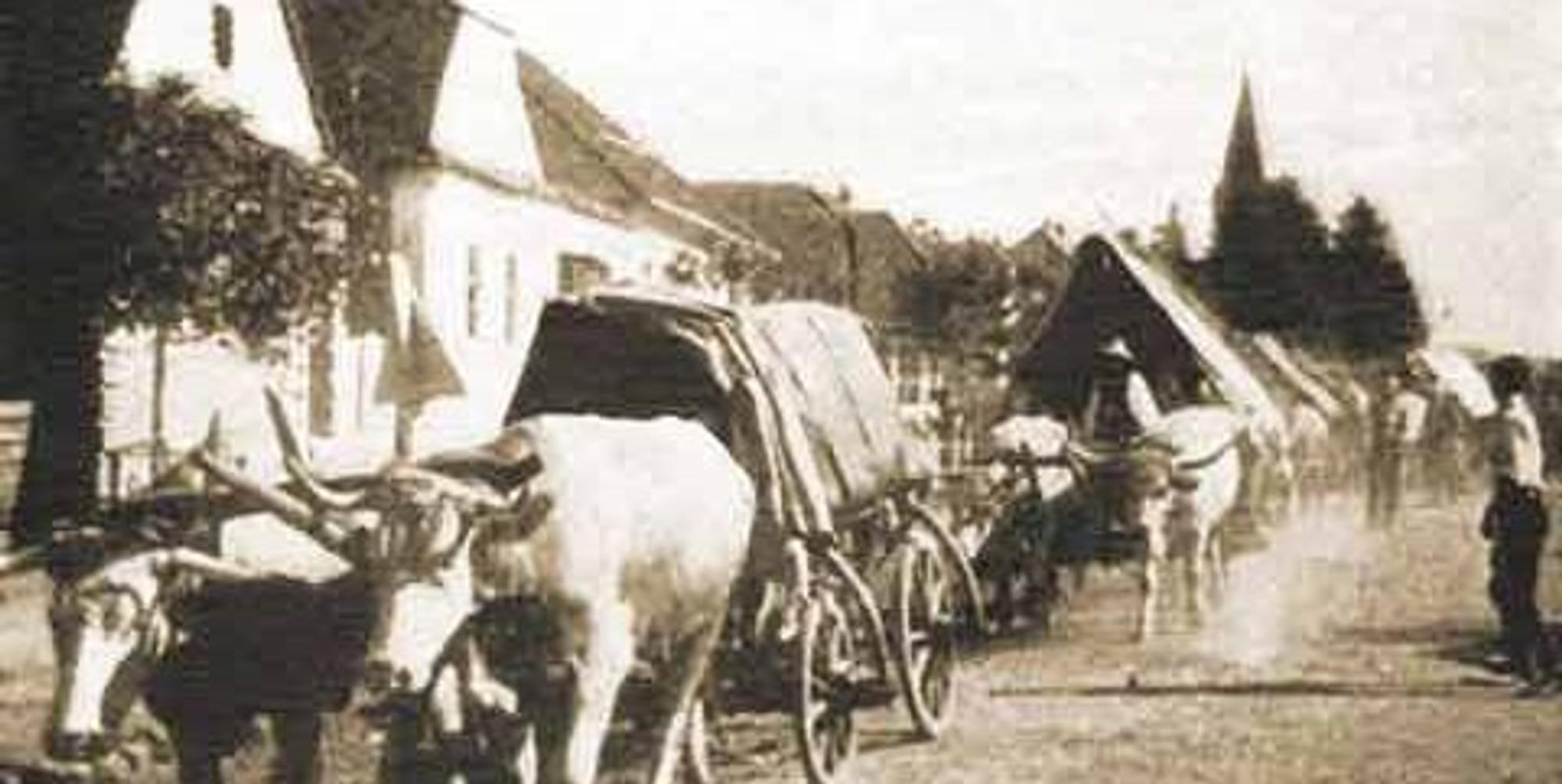 Siebenbürgen