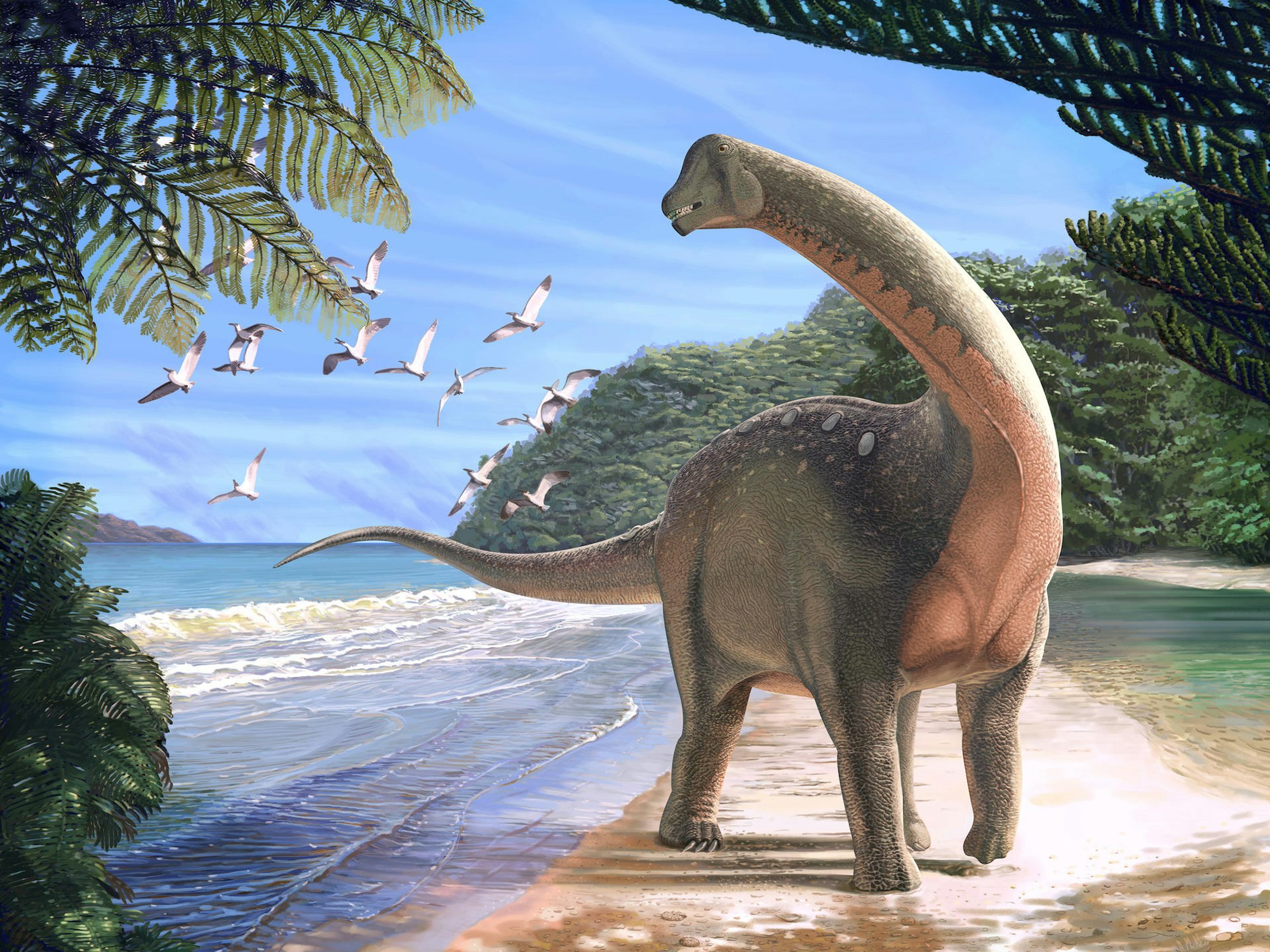 Dino