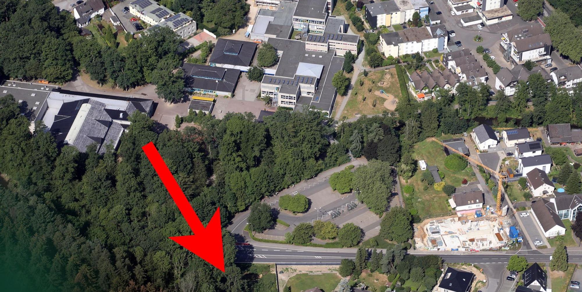 Wald Bergisch Gladbacher Straße Parkplatz