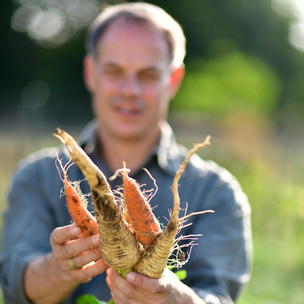 Gemüseanbau Interview JustynaSchwertner