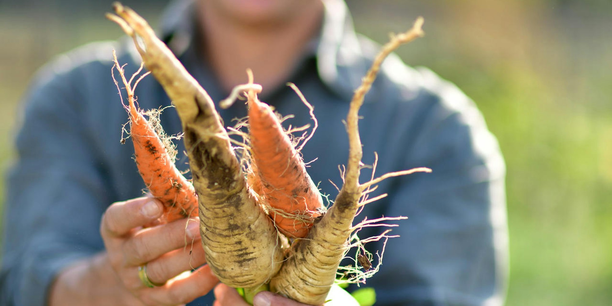 Gemüseanbau Interview JustynaSchwertner