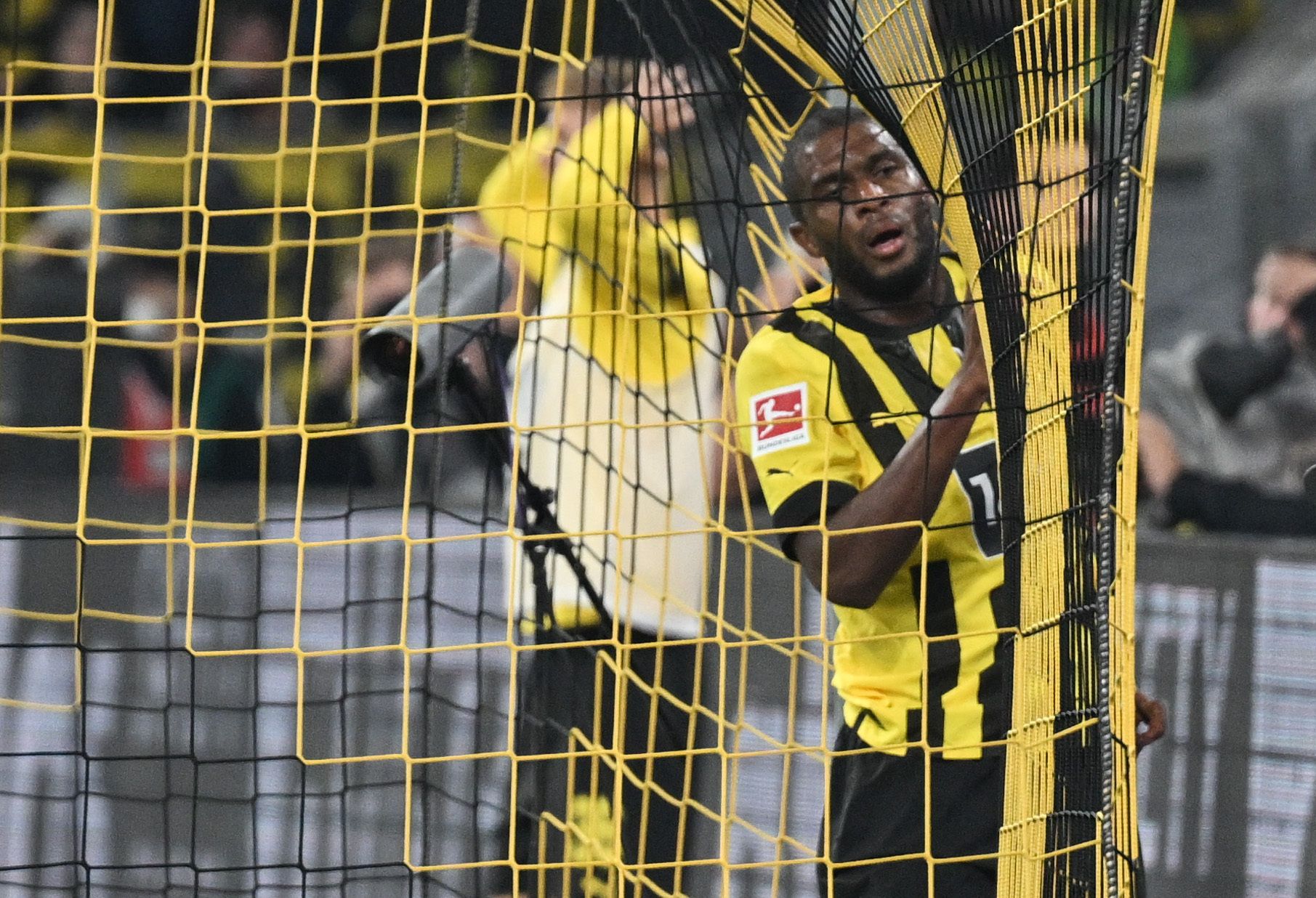 Modestebvb2