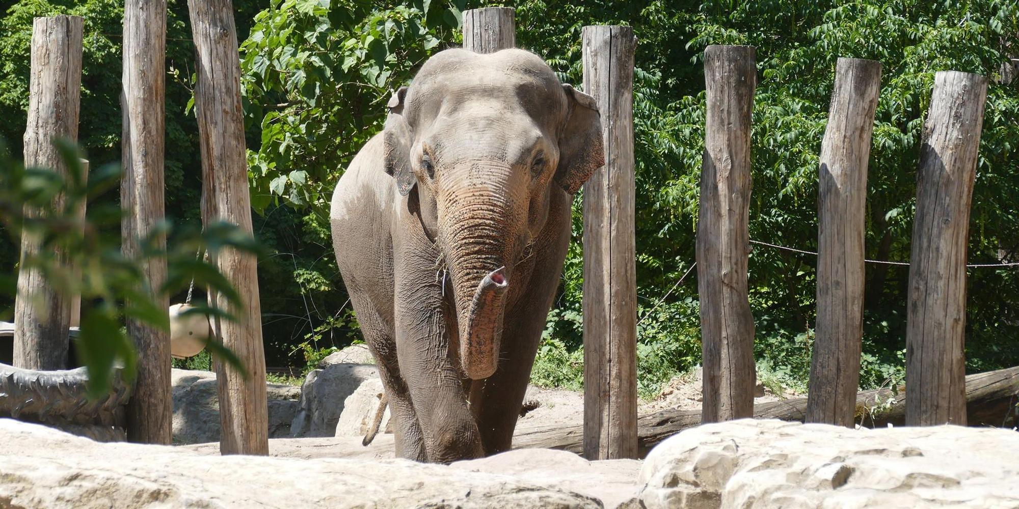 Zoo_Tarak_2