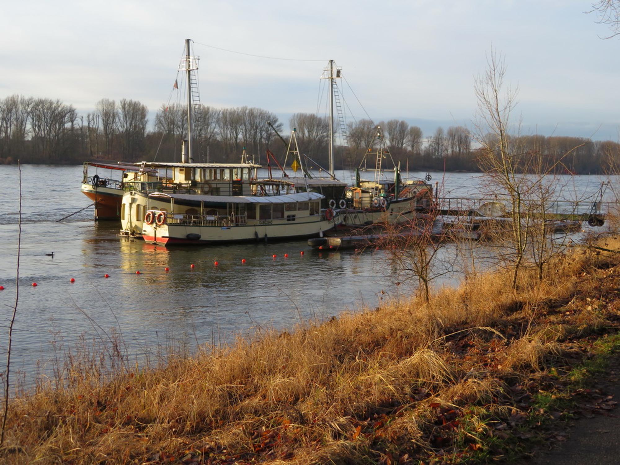 Weißer Bogen
