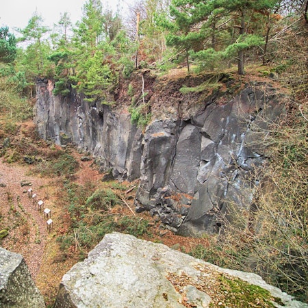 Kottenheimer Winfled