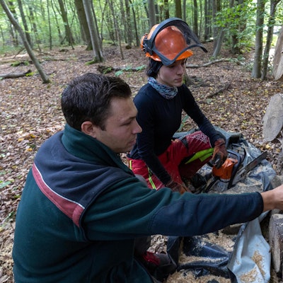 Buschhoven_Holzdiebstahl_Tracker_Revierleiter_Daniel_Bra