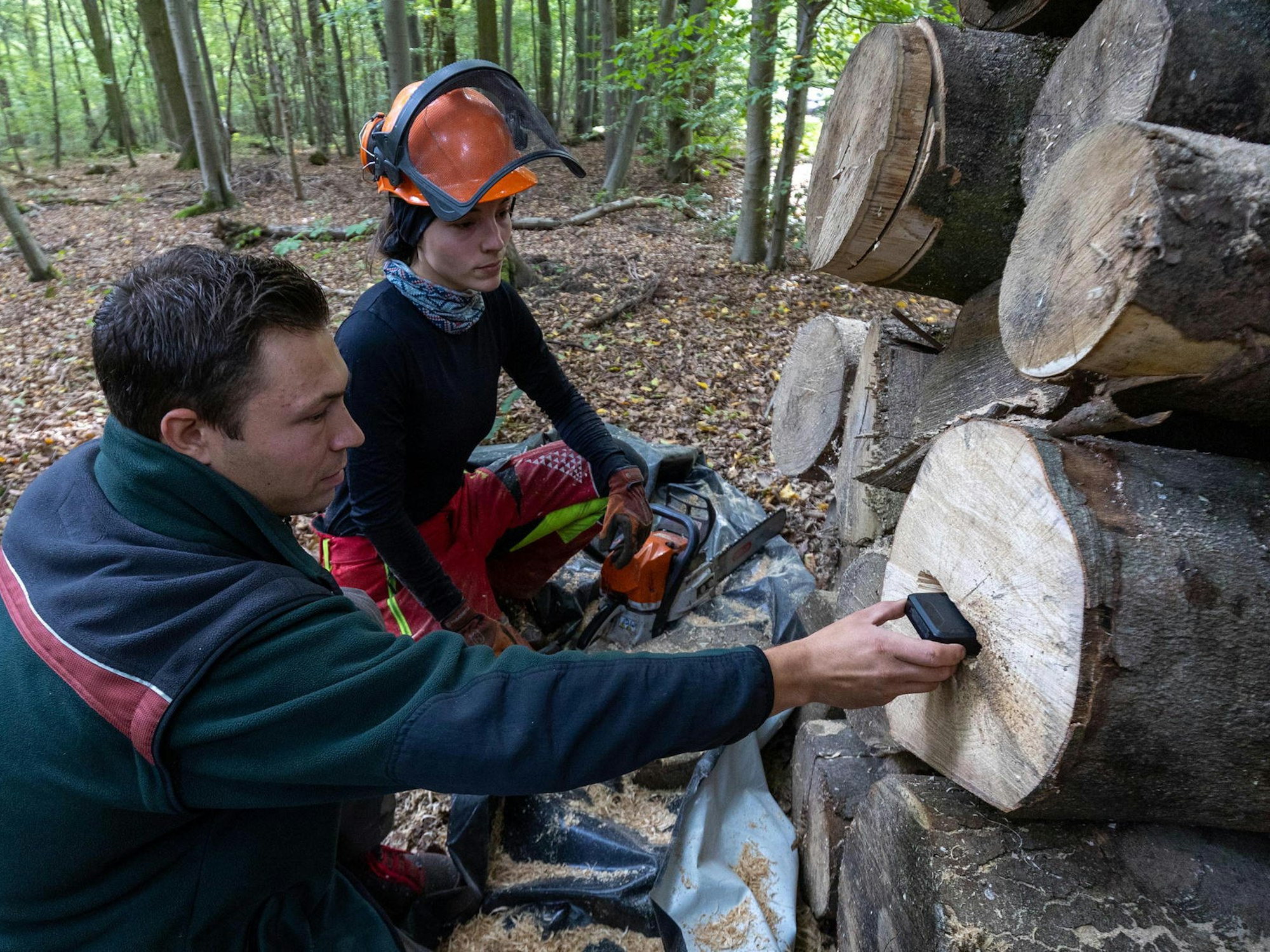 Buschhoven_Holzdiebstahl_Tracker_Revierleiter_Daniel_Bra