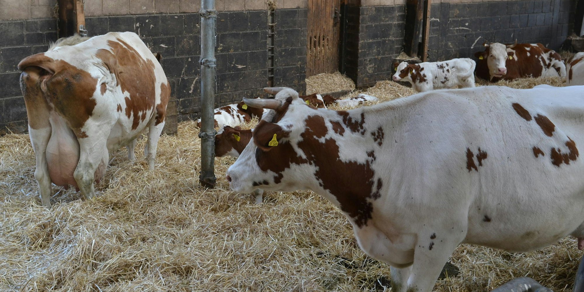 Neuer Inhalt