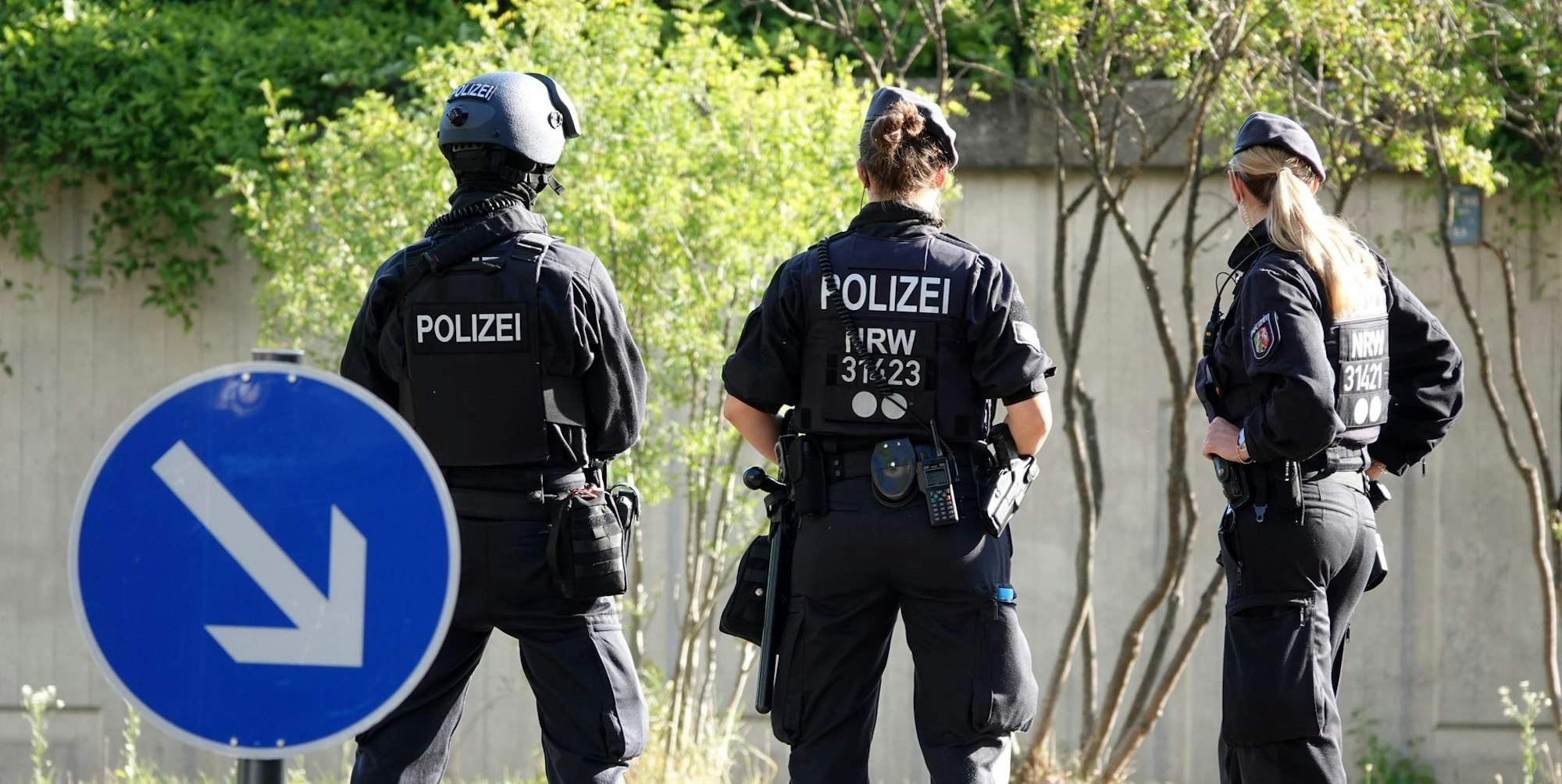 Polizisten Pink Panther