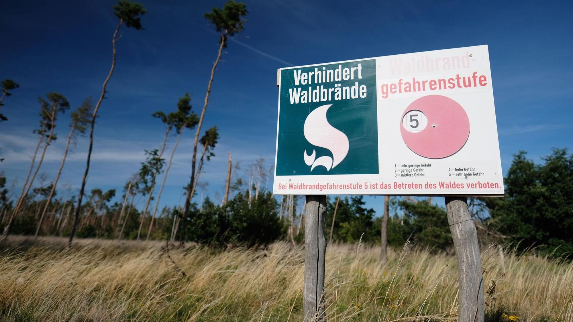 Auf einem Waldbrand-Warnschild an einem von Trockenheit geschädigten Kiefernwald wird die höchste Waldbrand-Gefahrstufe angezeigt.