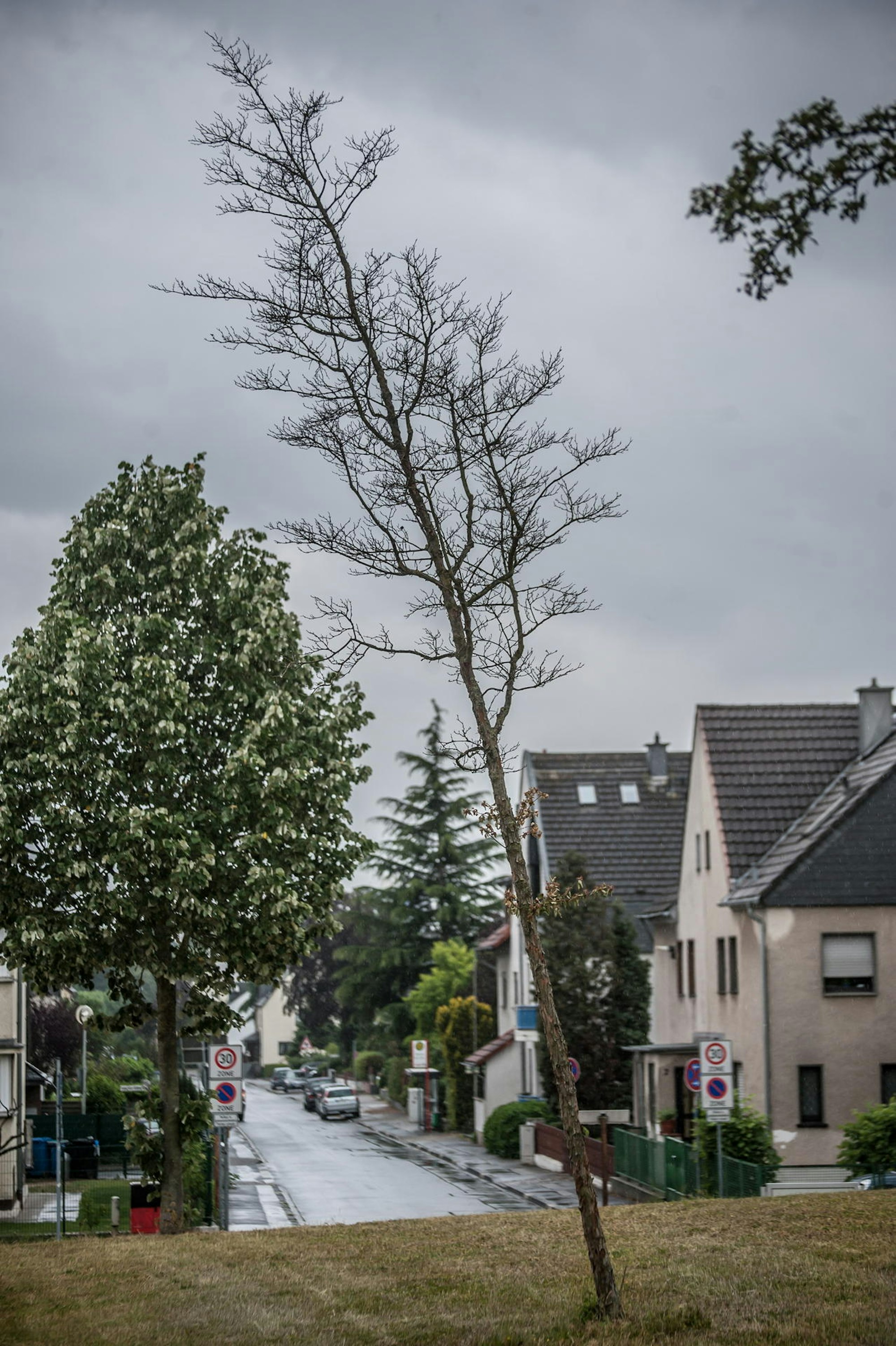 leverkusen-klima-ALF_2996