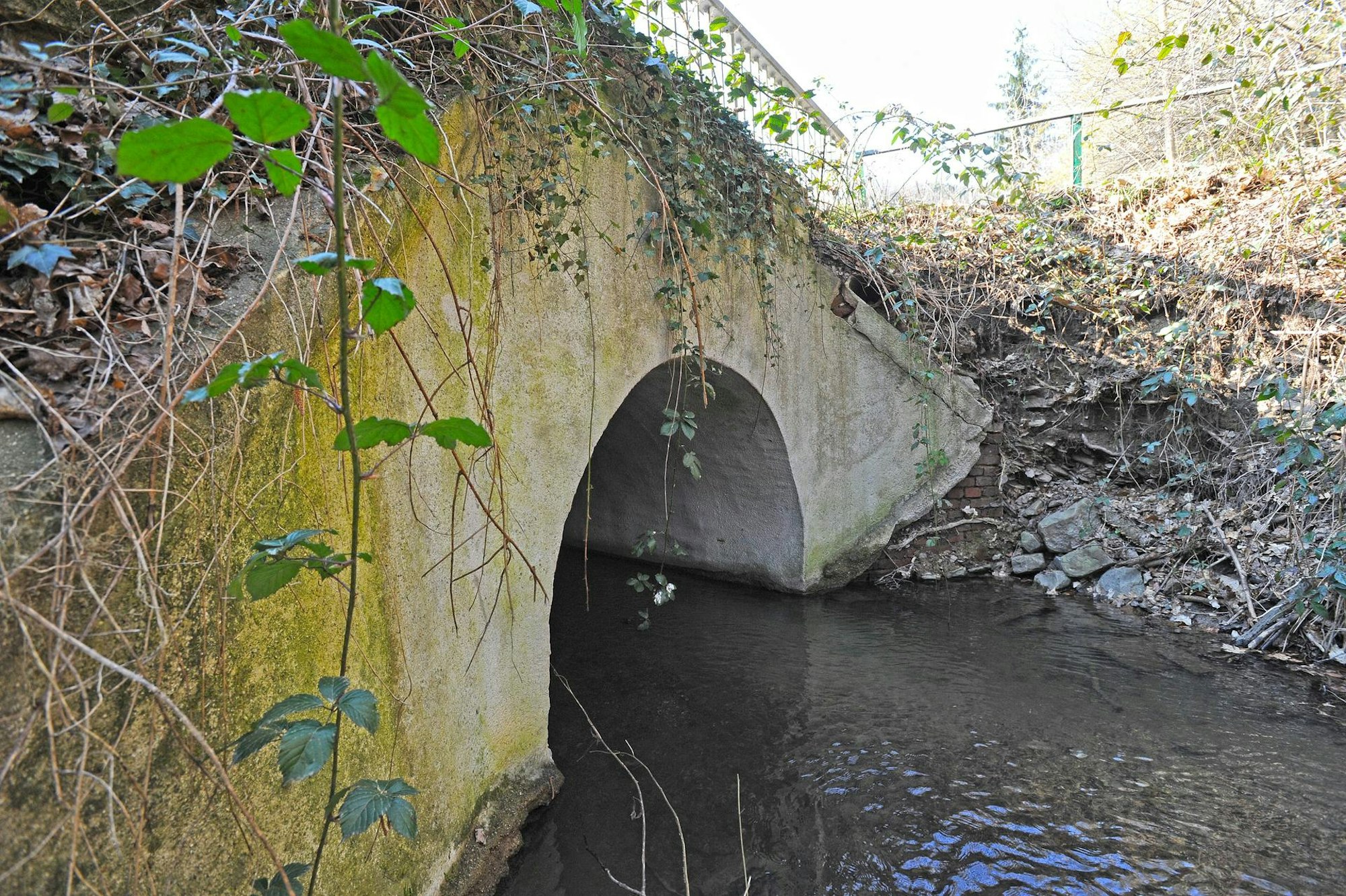 Brücken1
