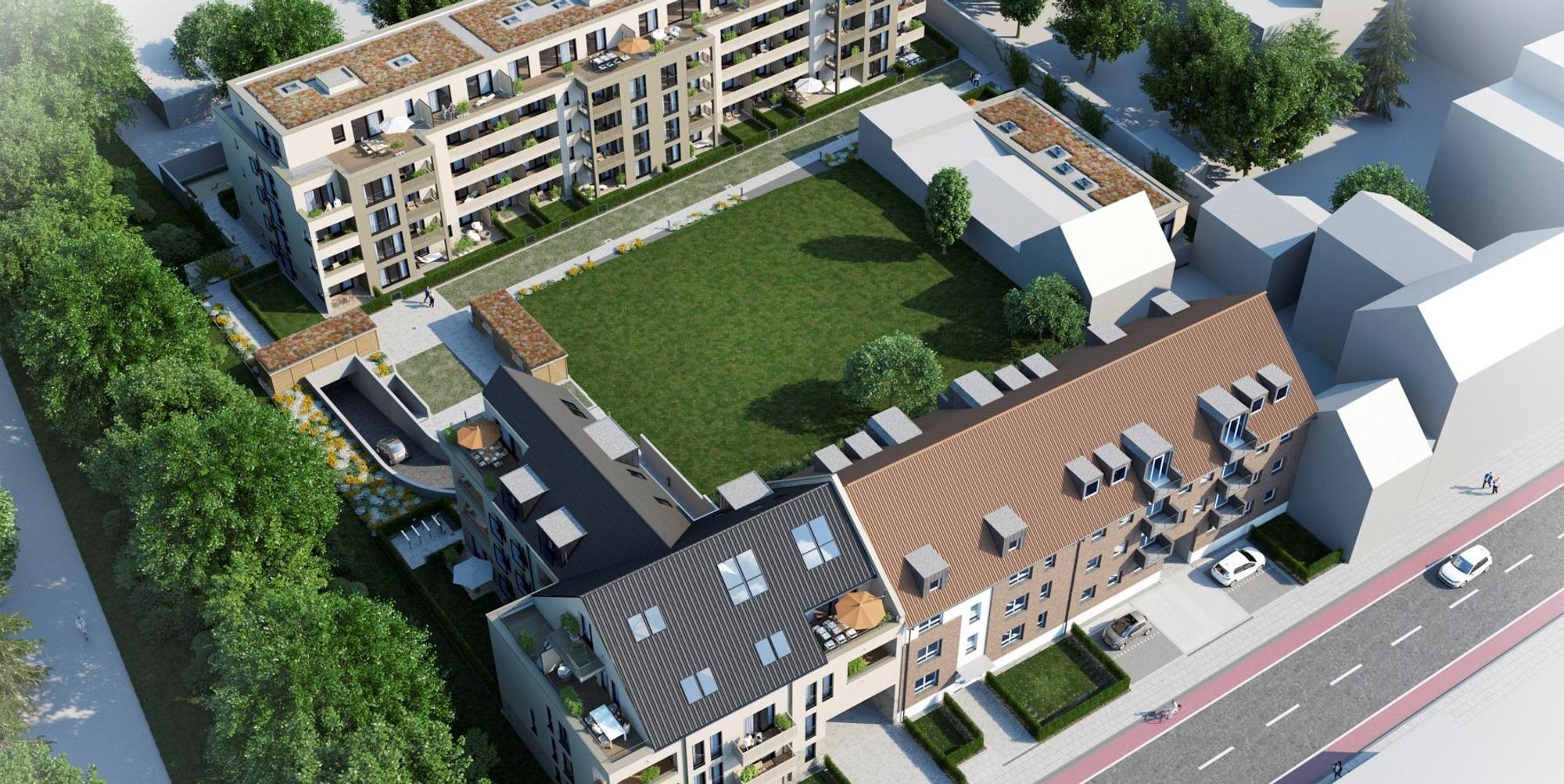 Takufeld