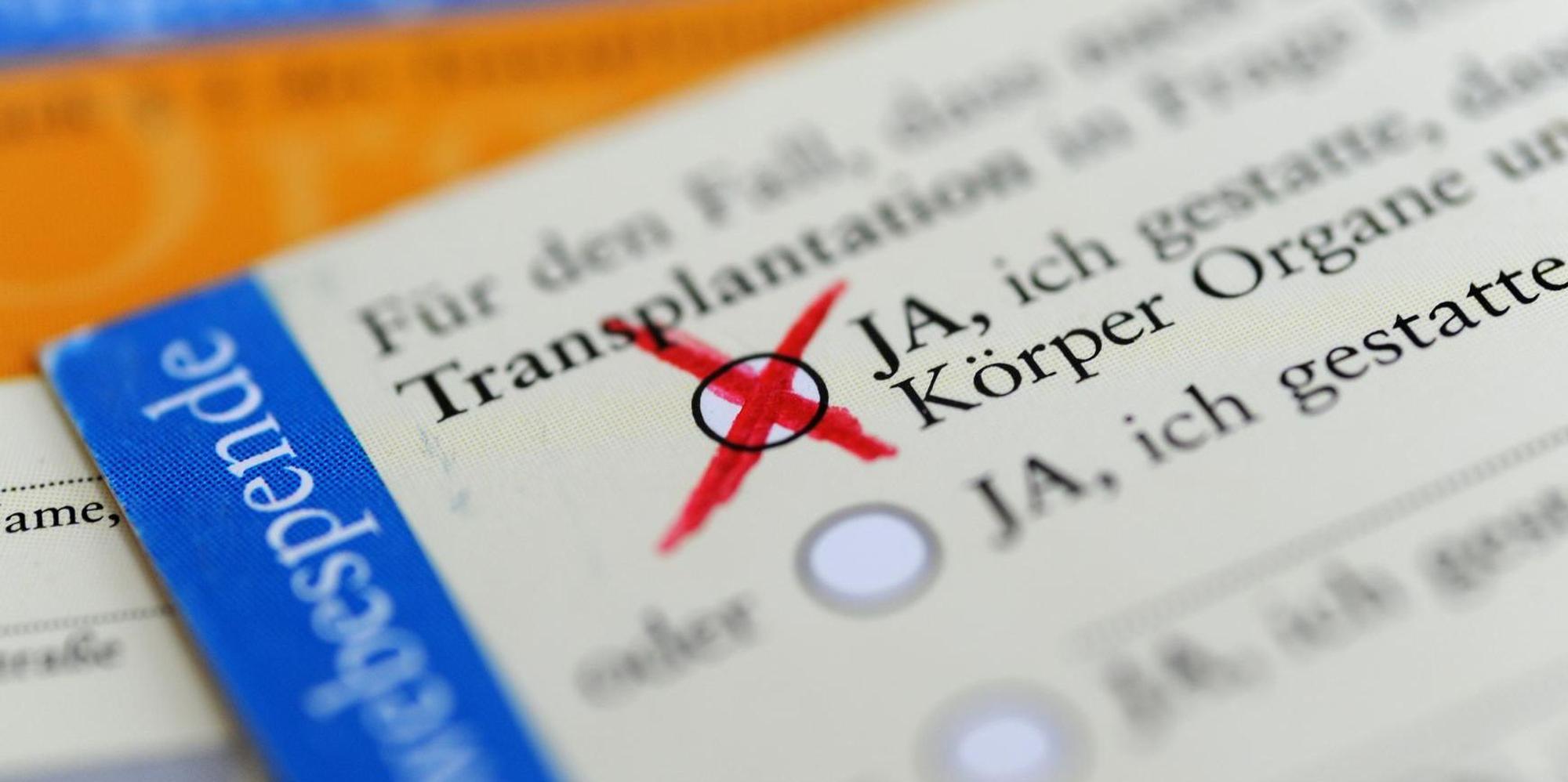 Neuer Inhalt