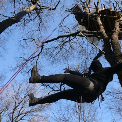 Vlaminck_Hambacher Forst