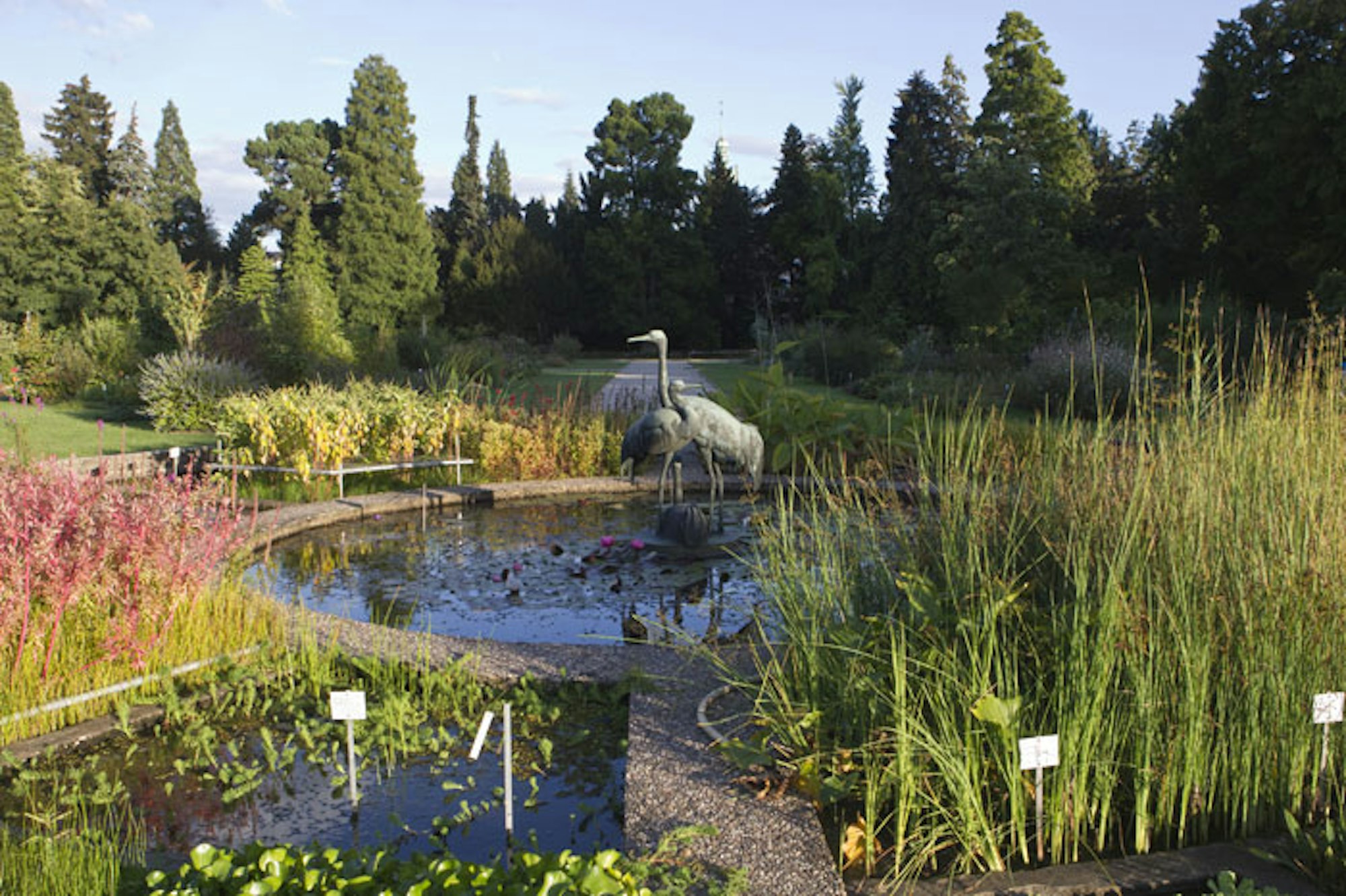 botanischer_garten_2011_01