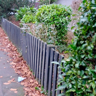 MDS-KR-2022-01-04-71-176503031