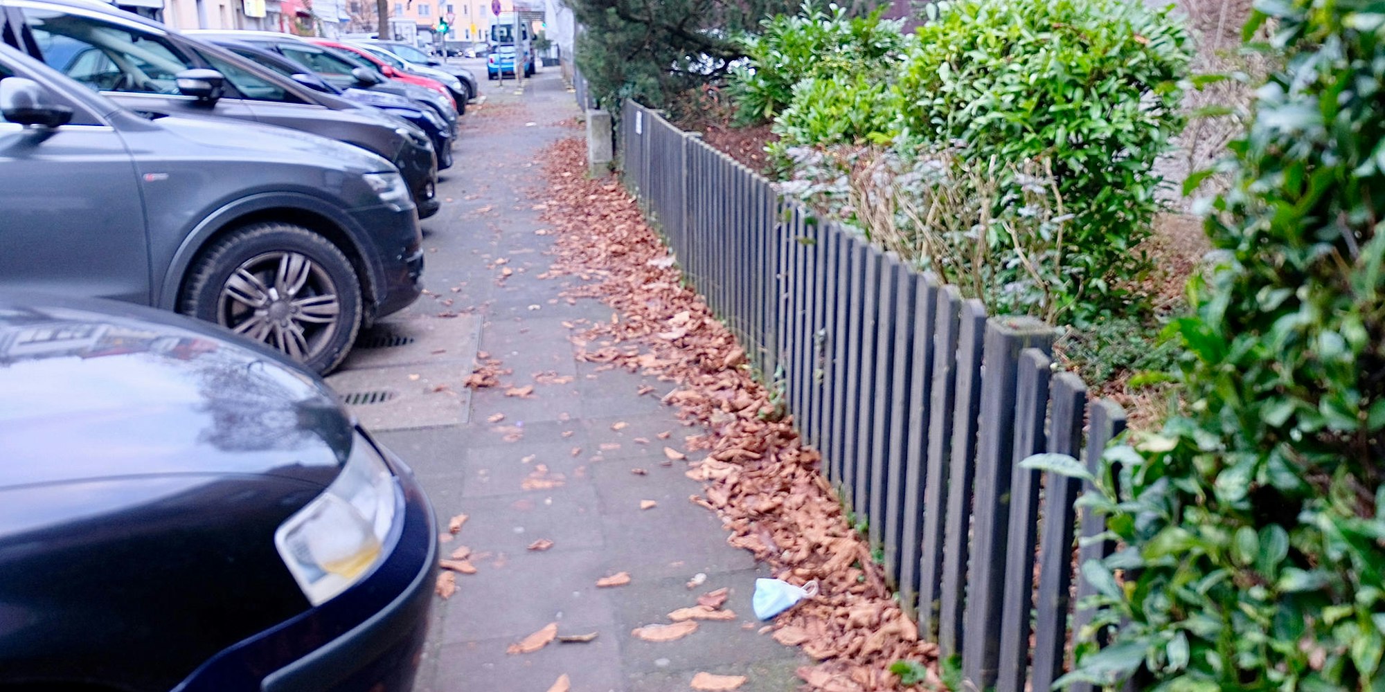 MDS-KR-2022-01-04-71-176503031