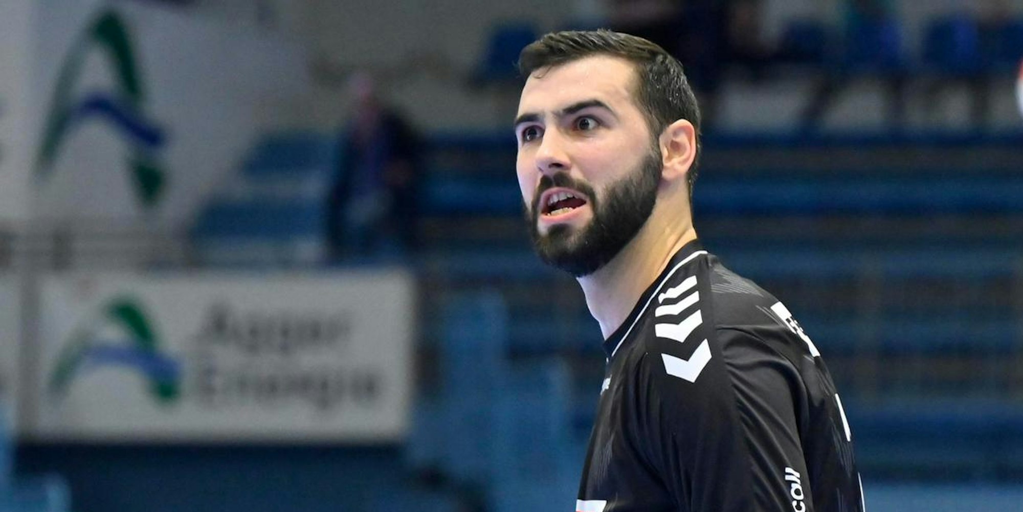 Tibor Ivanisevic (1)