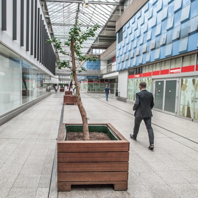 leverkusen-city-c--ALF_9260