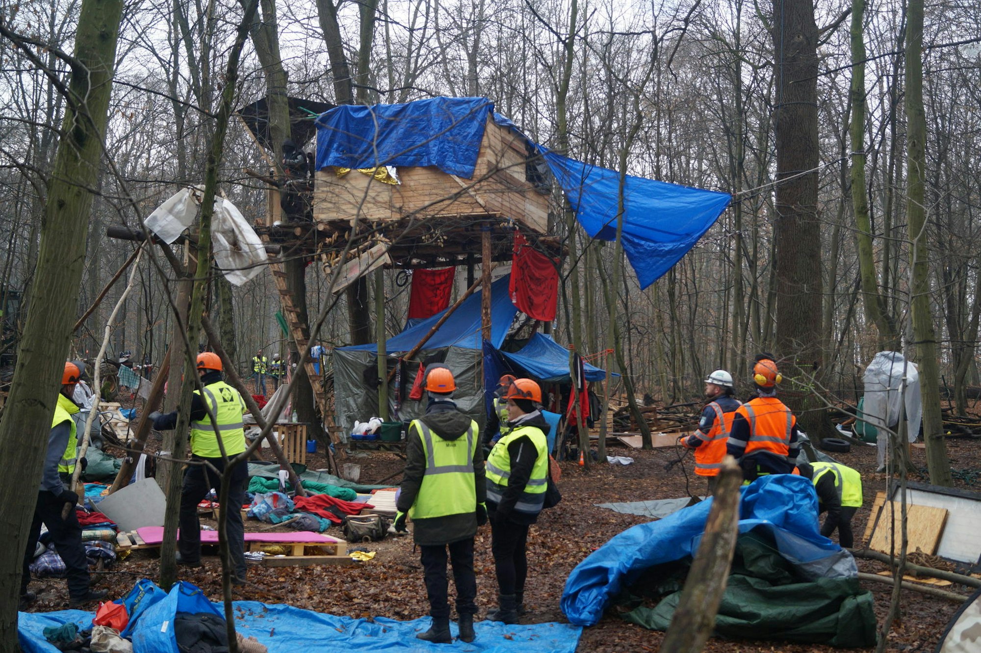 Räumung Hambacher Forst 2018 Meisen