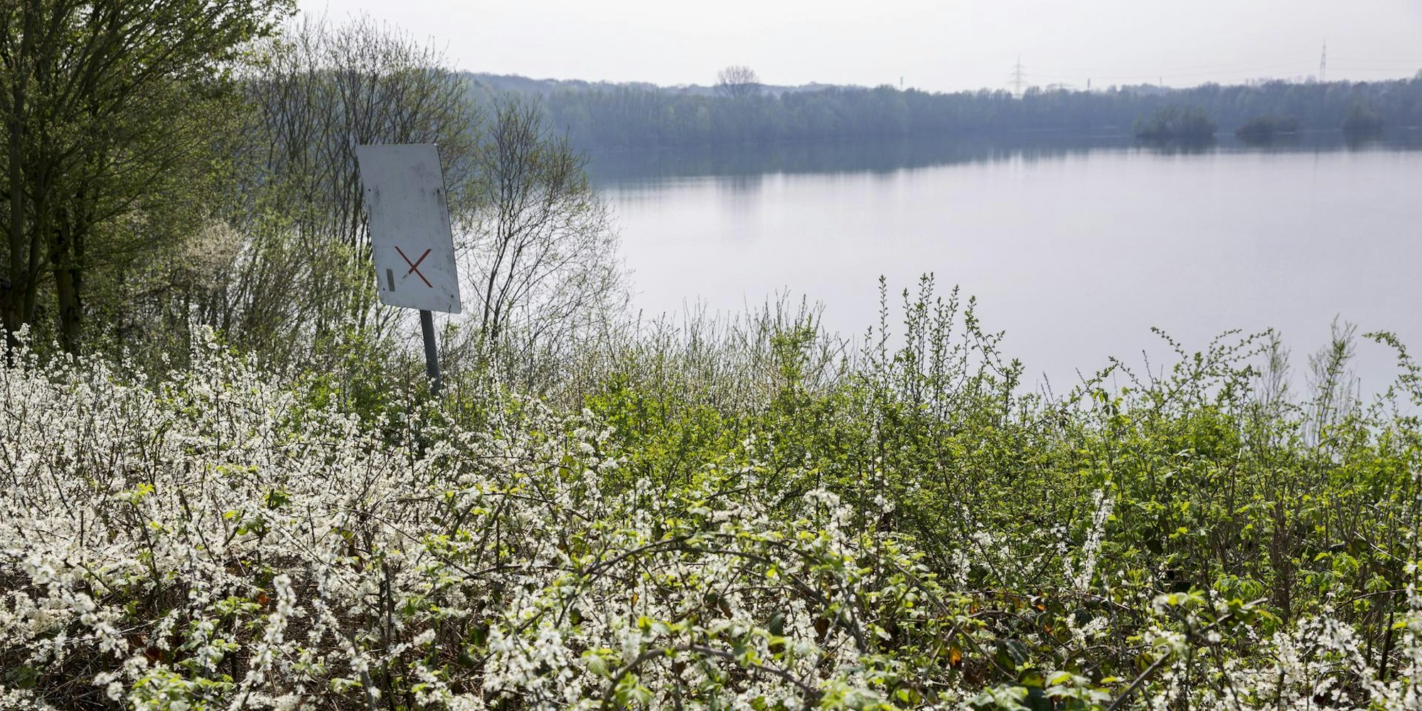 tier0_2018_04_24_MDS-KSTA-2018-04-24-71-131500451