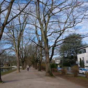 se-rautenstrauch.neu