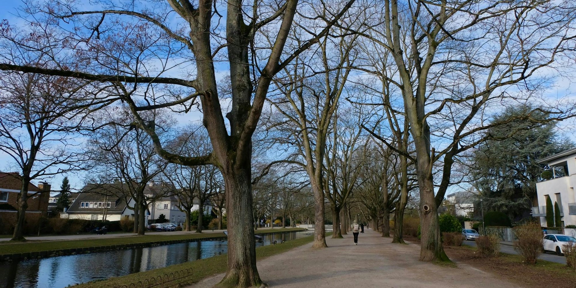 se-rautenstrauch.neu