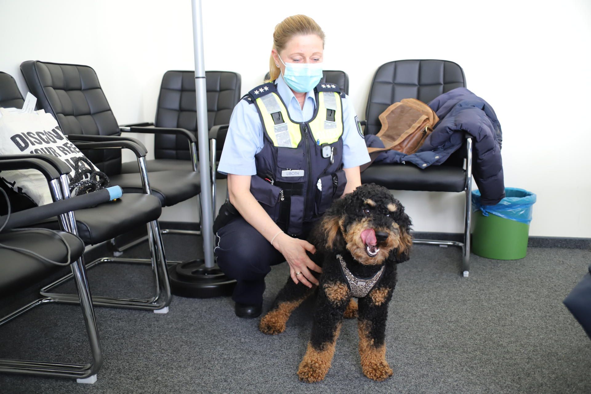 Opferschutzhund_Nilo