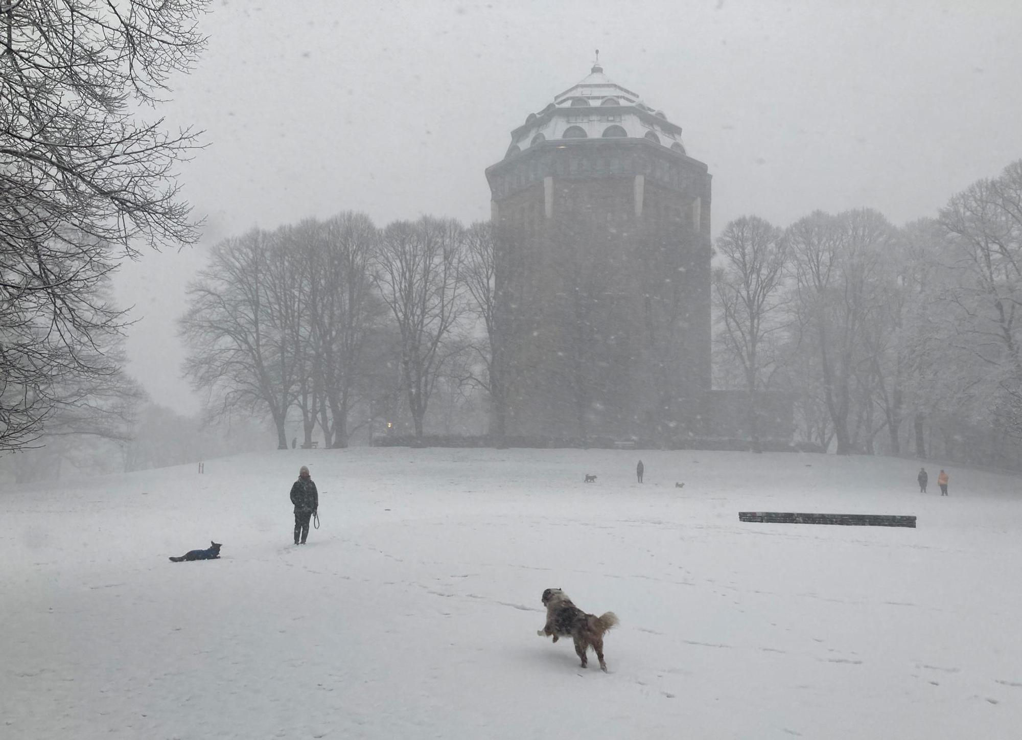 Schnee Schanzenpark Hamburg
