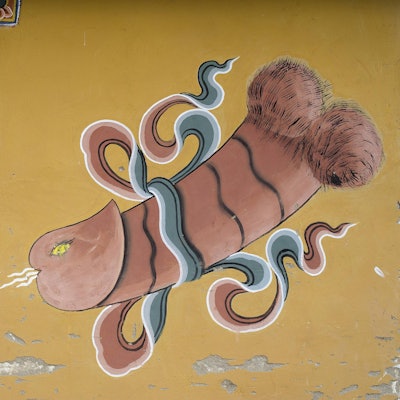 penis_bhutan_imago (1)