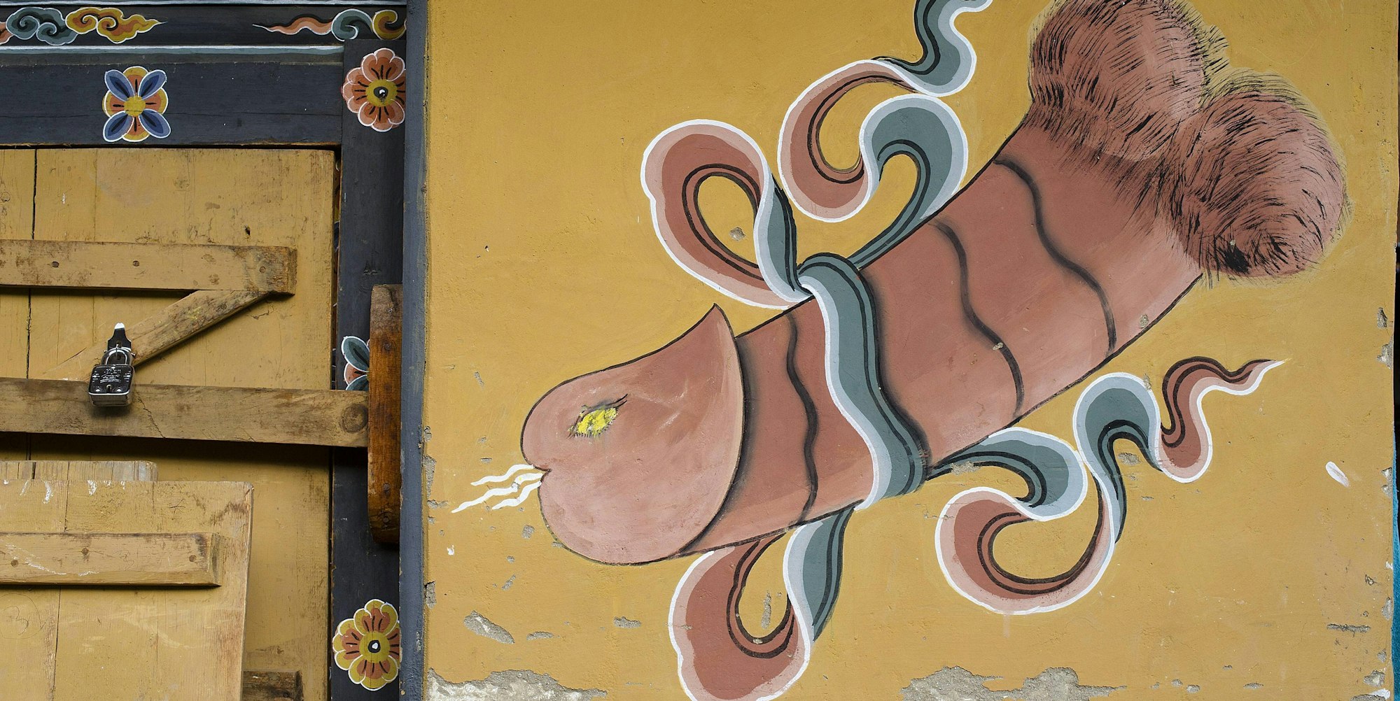 penis_bhutan_imago (1)