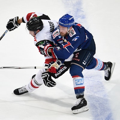 Kölner Haie im Spiel