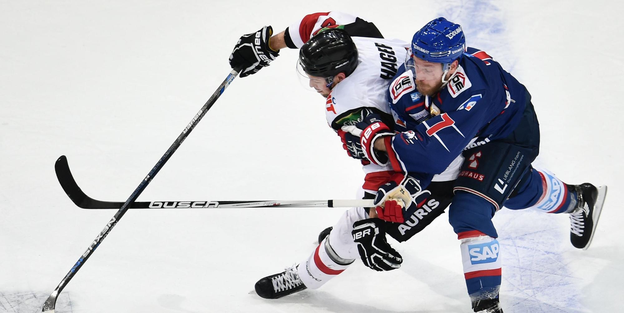 Kölner Haie im Spiel