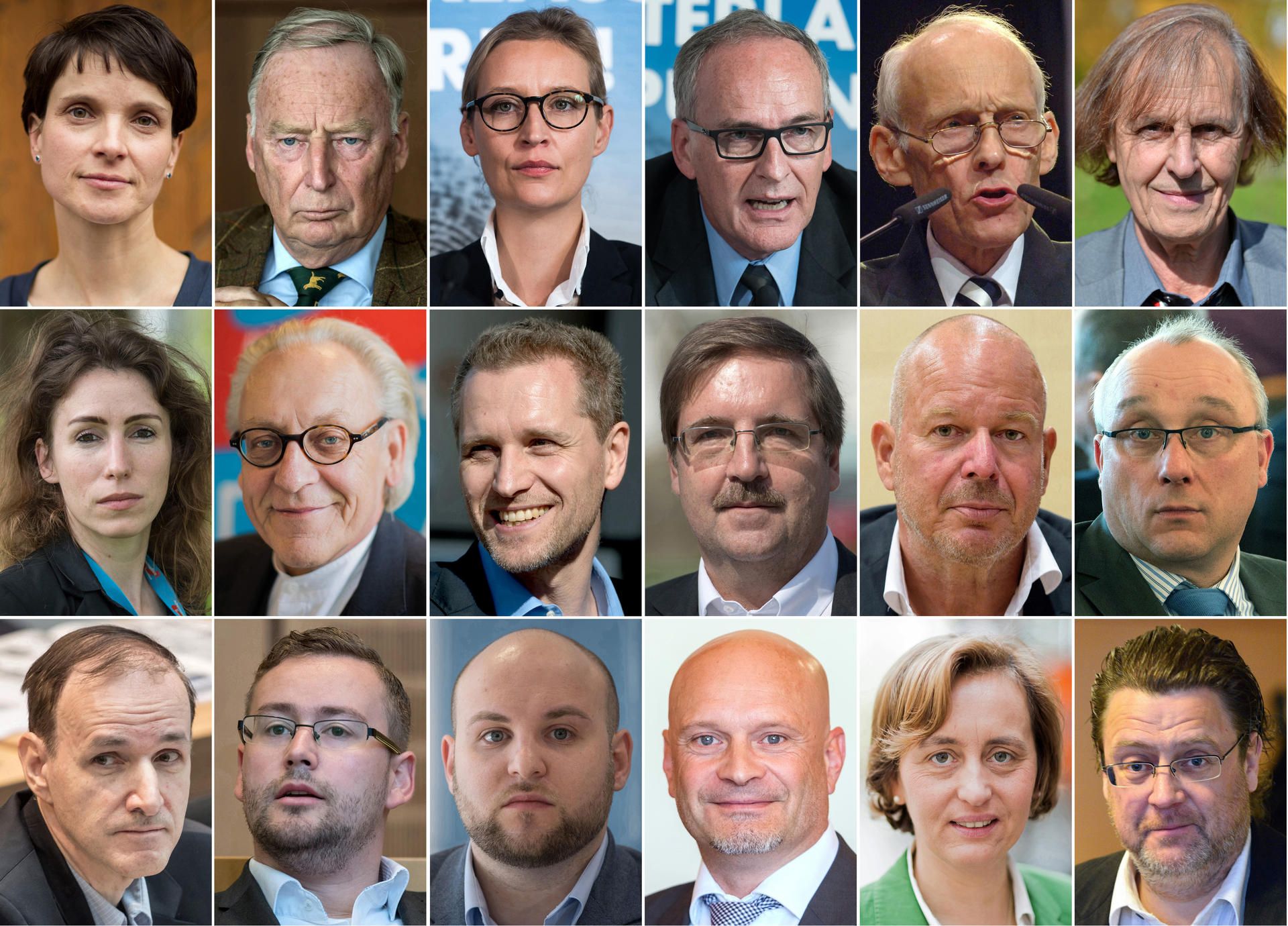 Neue AfD-Abgeordnete