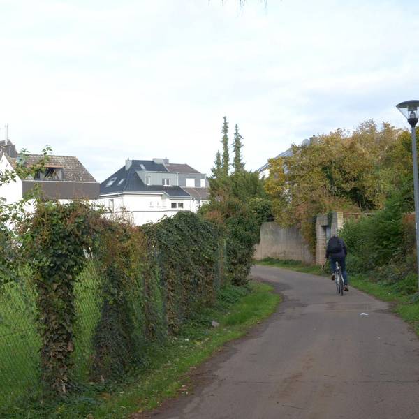 Neuer Inhalt