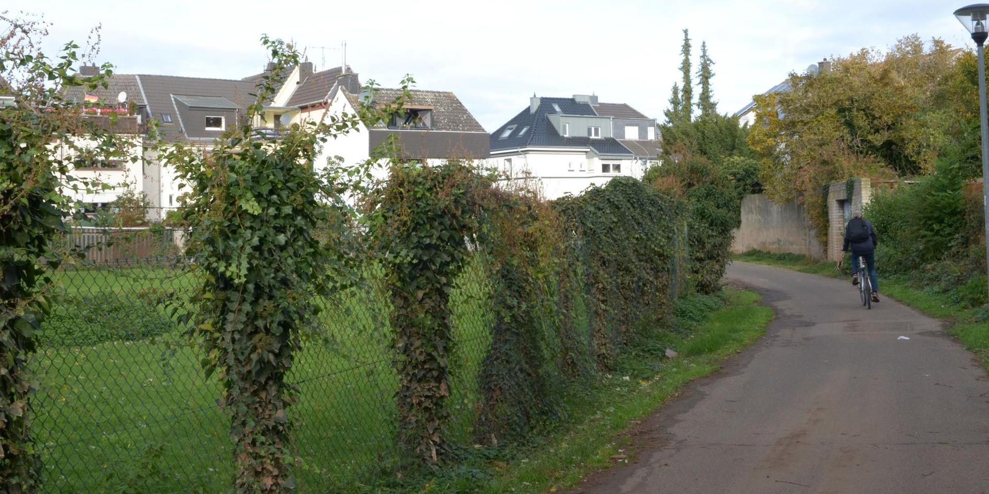 Neuer Inhalt
