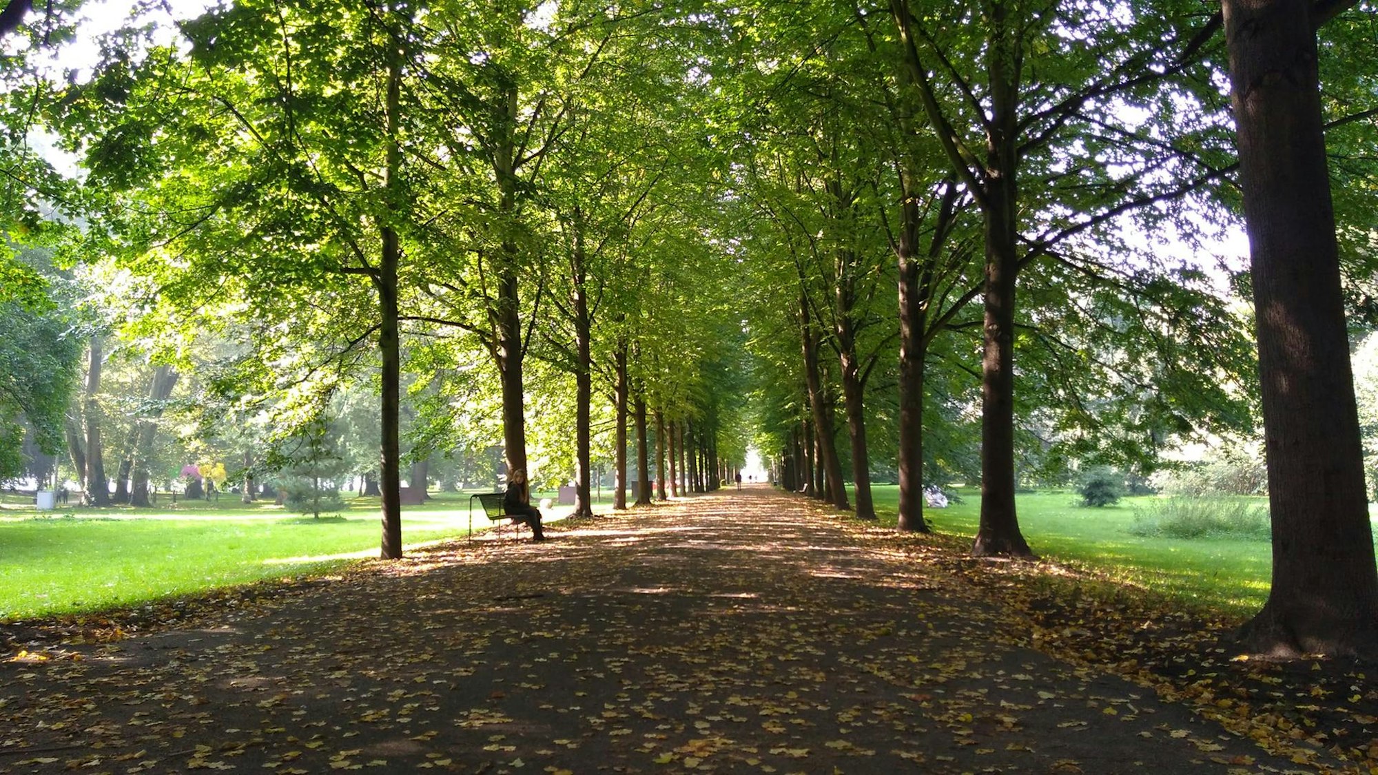 Schlosspark Stammheim Herbst 1 Reiche