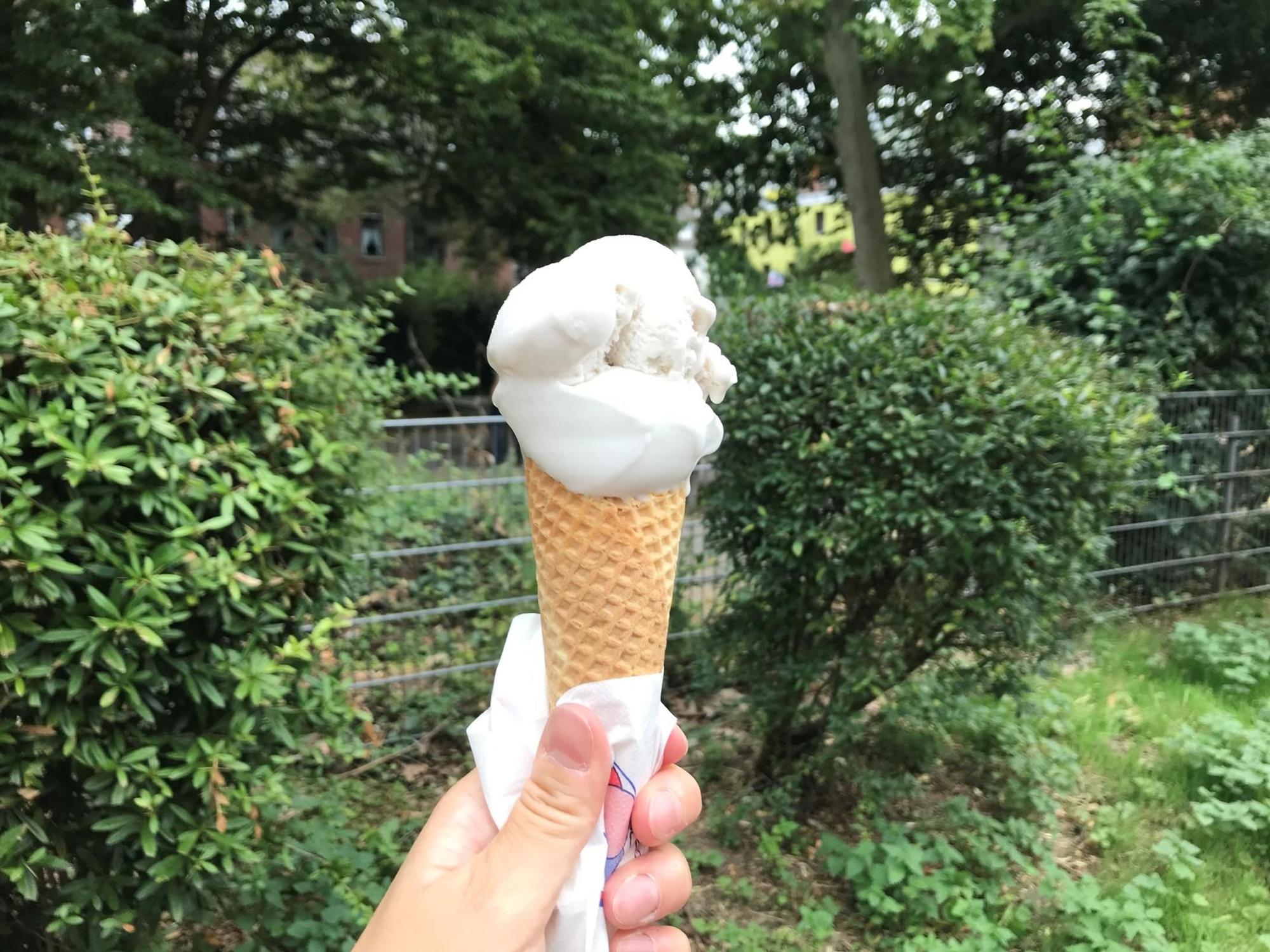 Eiszeit 1
